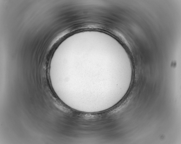 X0000090410827200708101917