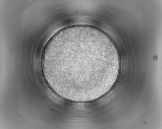 X0000090410828200708101917
