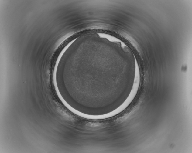 X0000090410829200708101917