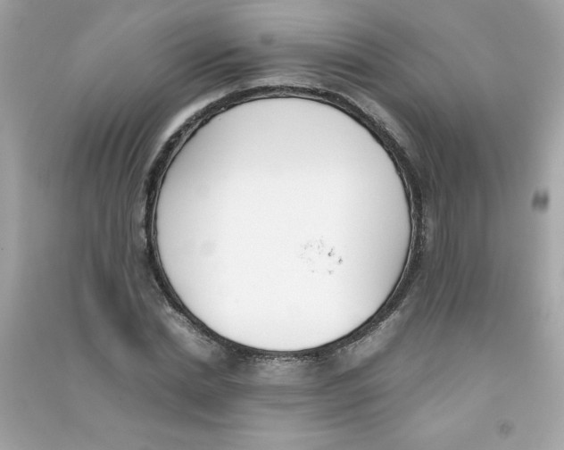 X0000090410830200708101917