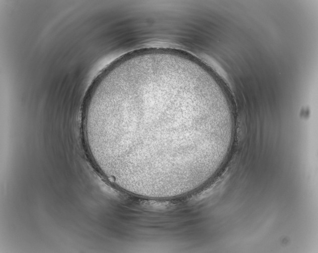 X0000090410831200708101917