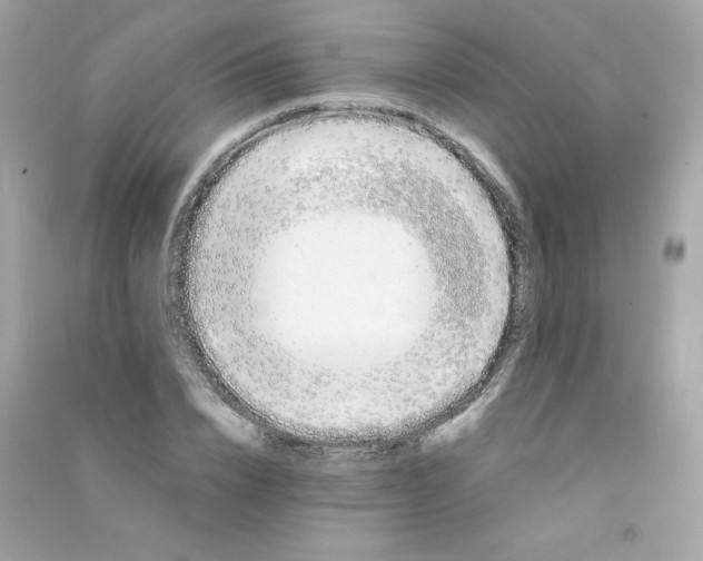 X0000090410832200708101917