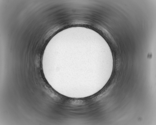X0000090410833200708101917