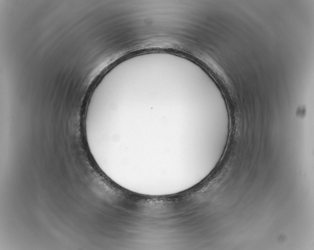X0000090410834200708101917