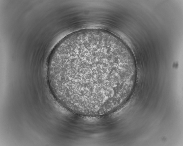 X0000090410835200708101917
