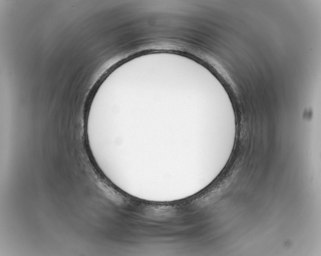 X0000090410837200708101917