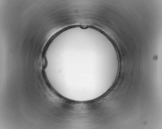 X0000090410838200708101917