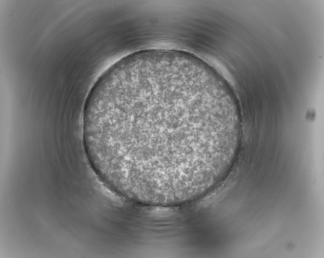 X0000090410839200708101917