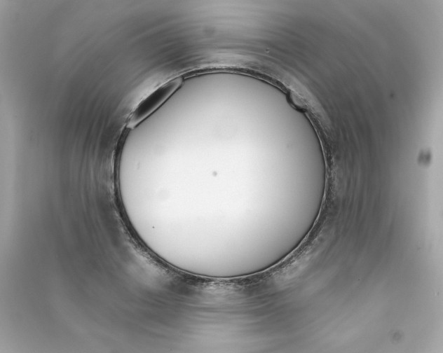X0000090410842200708101917