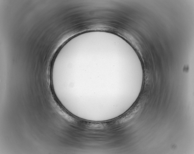X0000090410843200708101917
