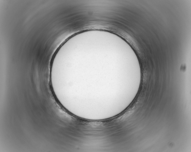 X0000090410844200708101917