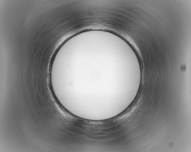 X0000090410845200708101917