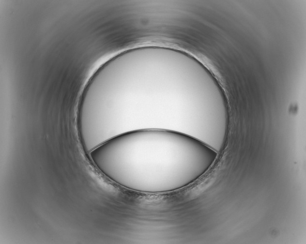 X0000090410846200708101917