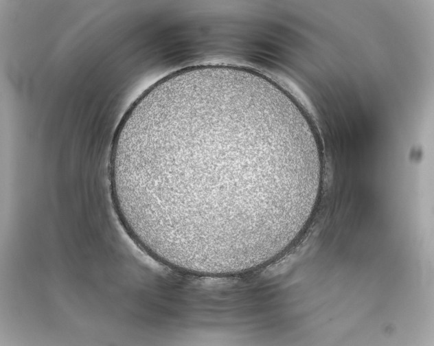 X0000090410847200708101917
