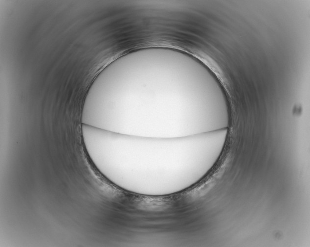 X0000090410849200708101917