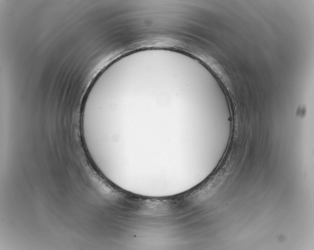 X0000090410850200708101918