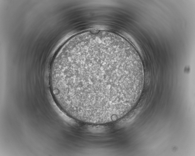 X0000090410851200708101918