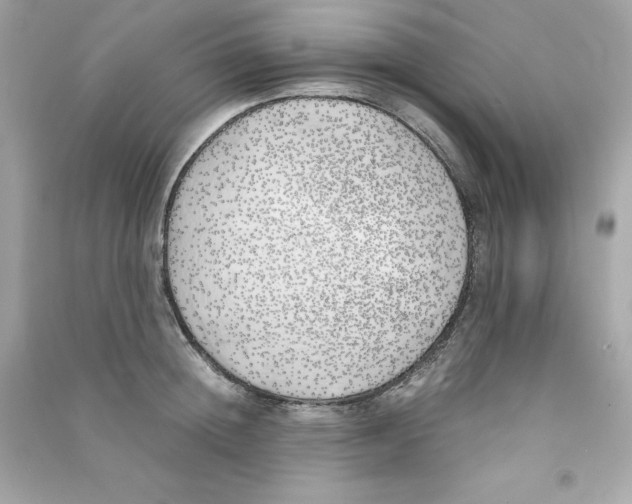 X0000090410852200708101918