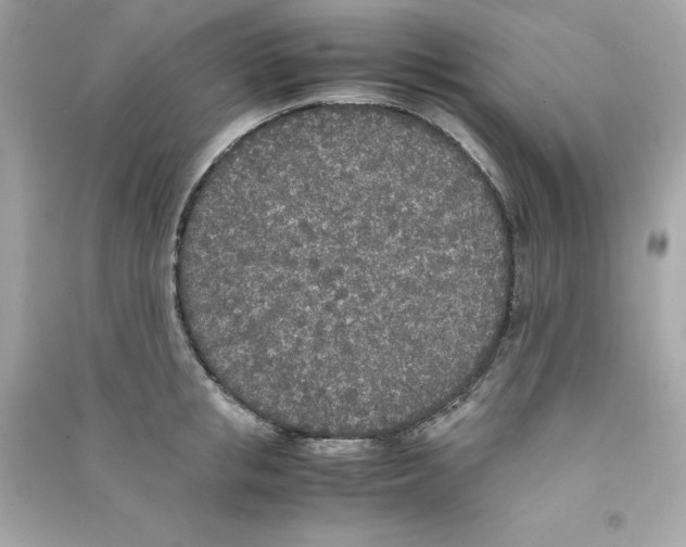 X0000090410853200708101918
