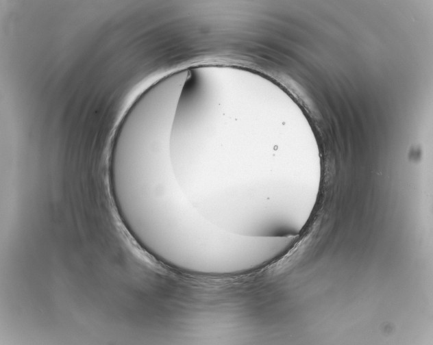 X0000090410854200708101918
