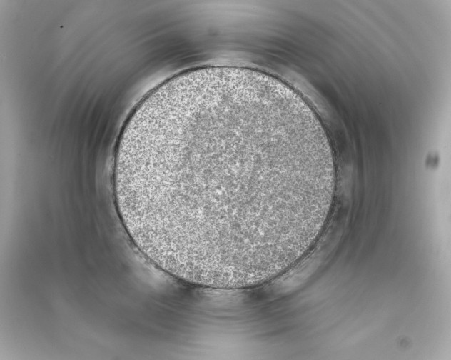 X0000090410856200708101918