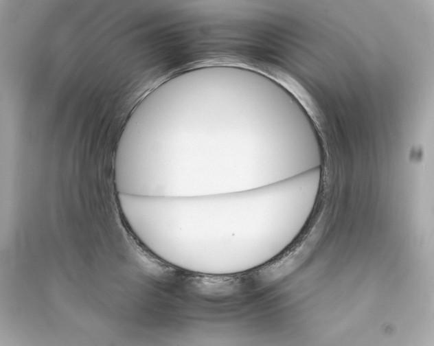 X0000090410857200708101918