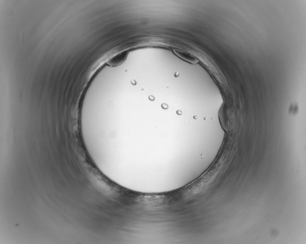 X0000090410858200708101918
