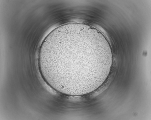 X0000090410859200708101918