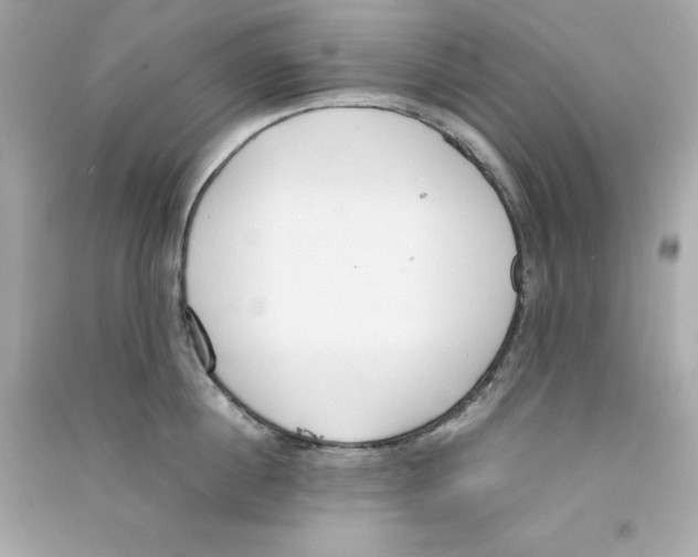 X0000090410860200708101918