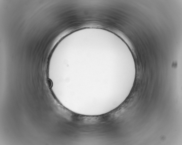 X0000090410861200708101918