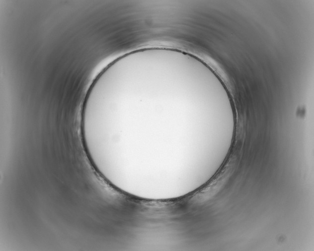 X0000090410862200708101918