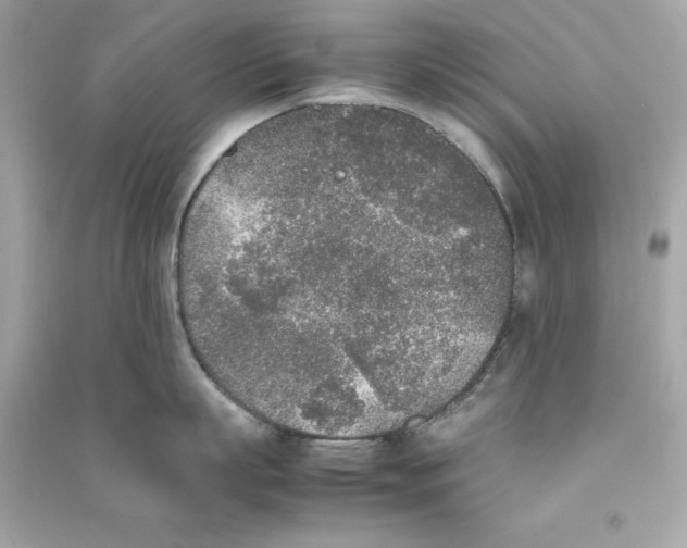 X0000090410863200708101918