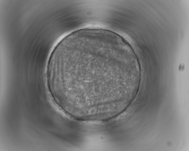X0000090410864200708101918