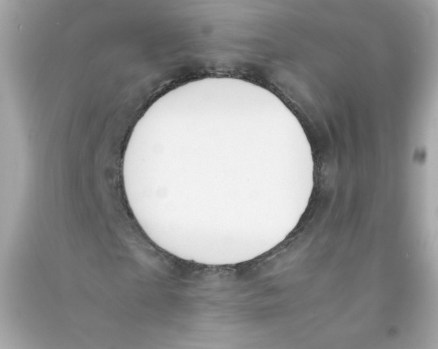 X0000090410865200708101917