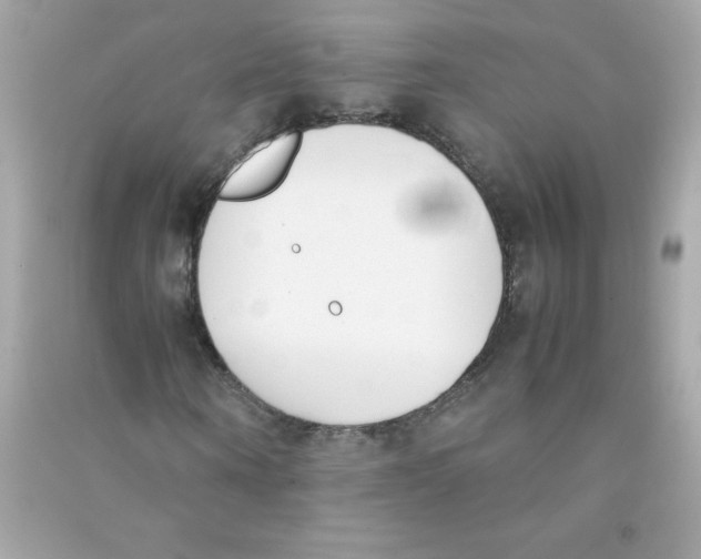 X0000090410866200708101917