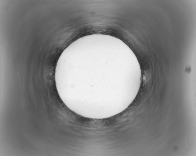 X0000090410867200708101917