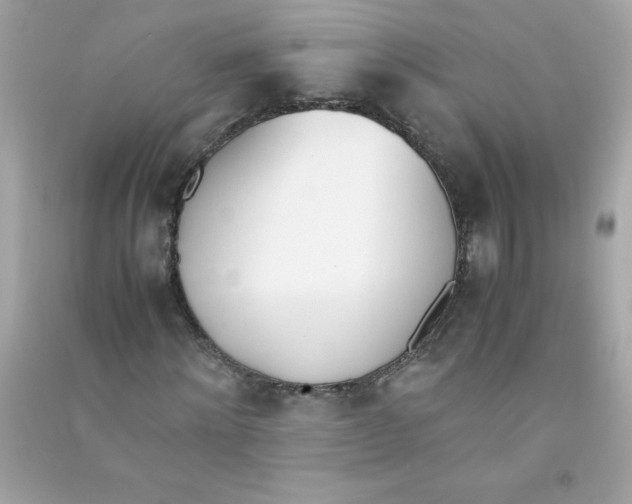 X0000090410868200708101917