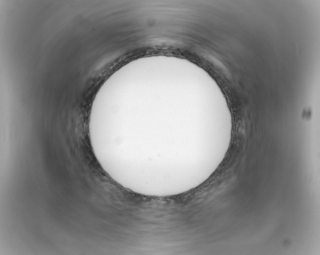 X0000090410869200708101917