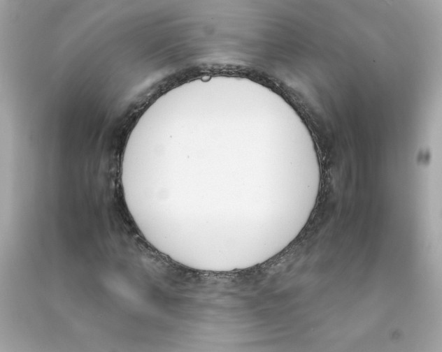X0000090410870200708101917