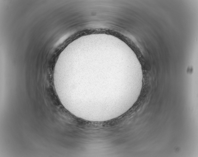 X0000090410871200708101917