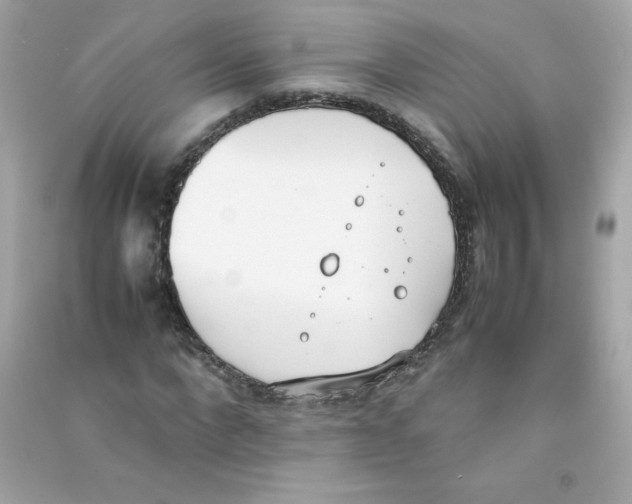 X0000090410872200708101917