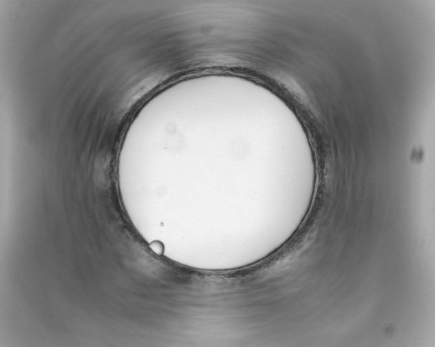 X0000090410873200708101917