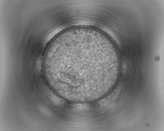 X0000090410874200708101917