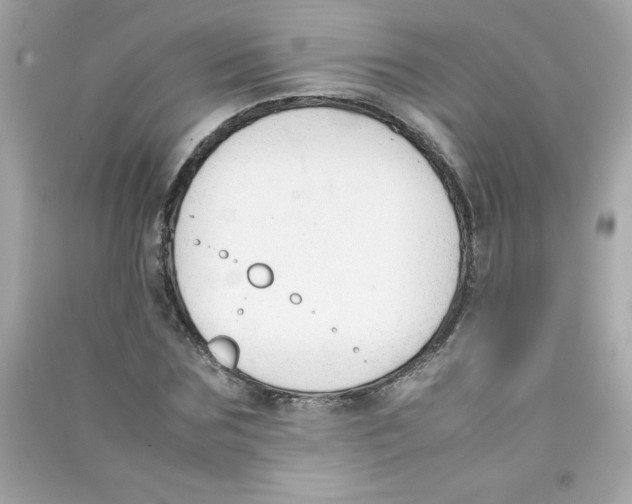X0000090410875200708101917