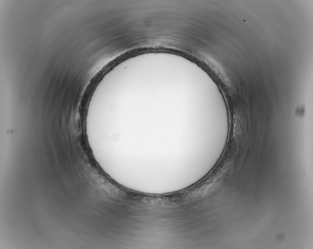 X0000090410876200708101917