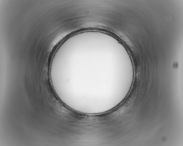 X0000090410877200708101917