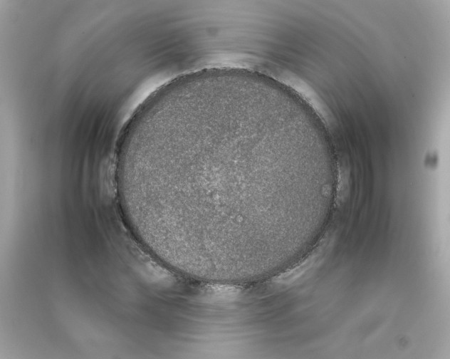 X0000090410878200708101917