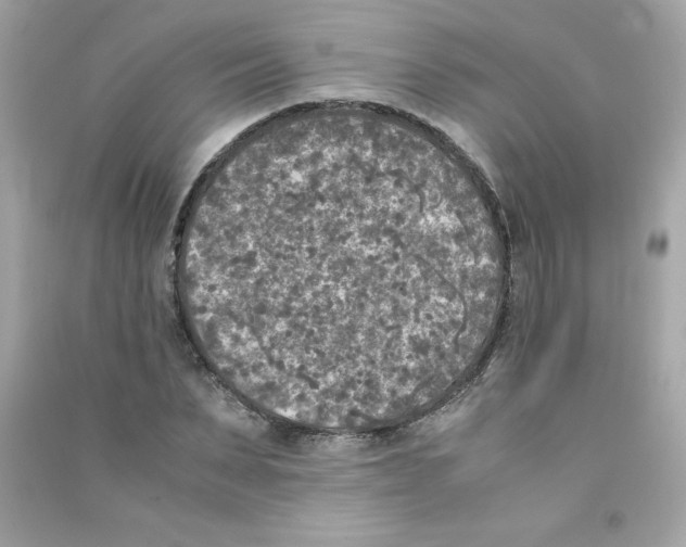X0000090410879200708101917