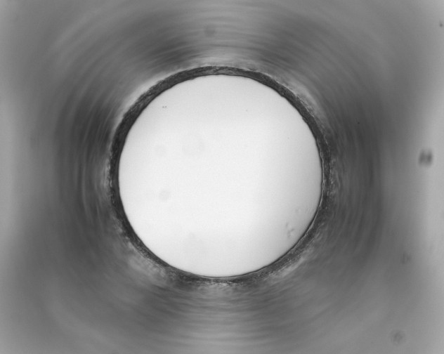 X0000090410880200708101917