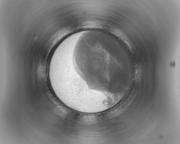 X0000090410882200708101917